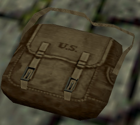 Satchel 1