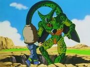 Imperfect cell 2