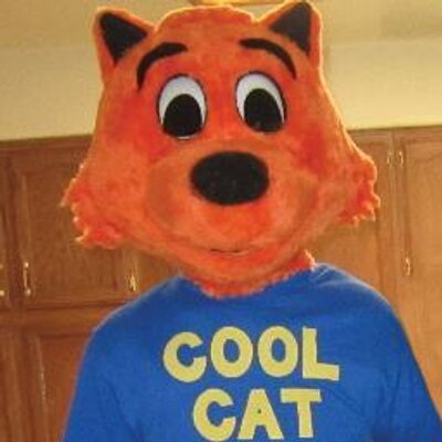 Cool Cat Pic