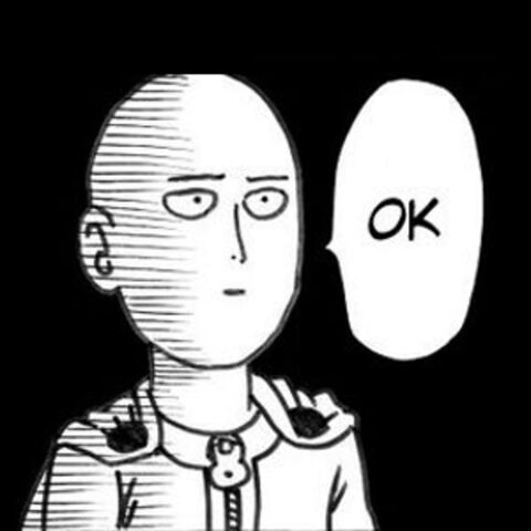 File:1d5a569fadb66fb8a8e815fb3b90c5a4 saitama-ok-know-your-meme-saitama-meme 600-600.jpeg