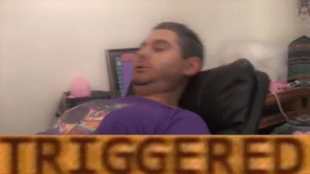 File:Triggered.gif