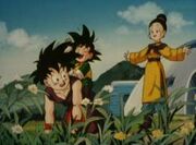 Images (17)