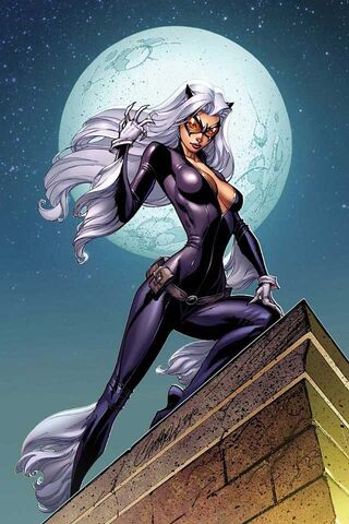 File:Black Cat.jpg