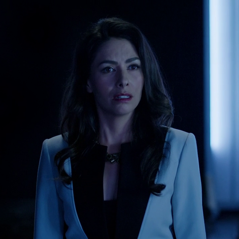 Datei:Mina Fayad.png