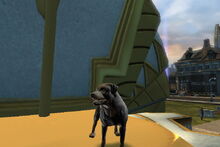 Jade Everfall (Dog)