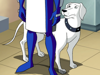 Krypto (dog)