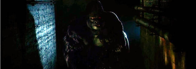 Arquivo:Grodd.jpg