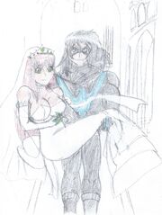 Nightwing and Starfire - Husband and Wife