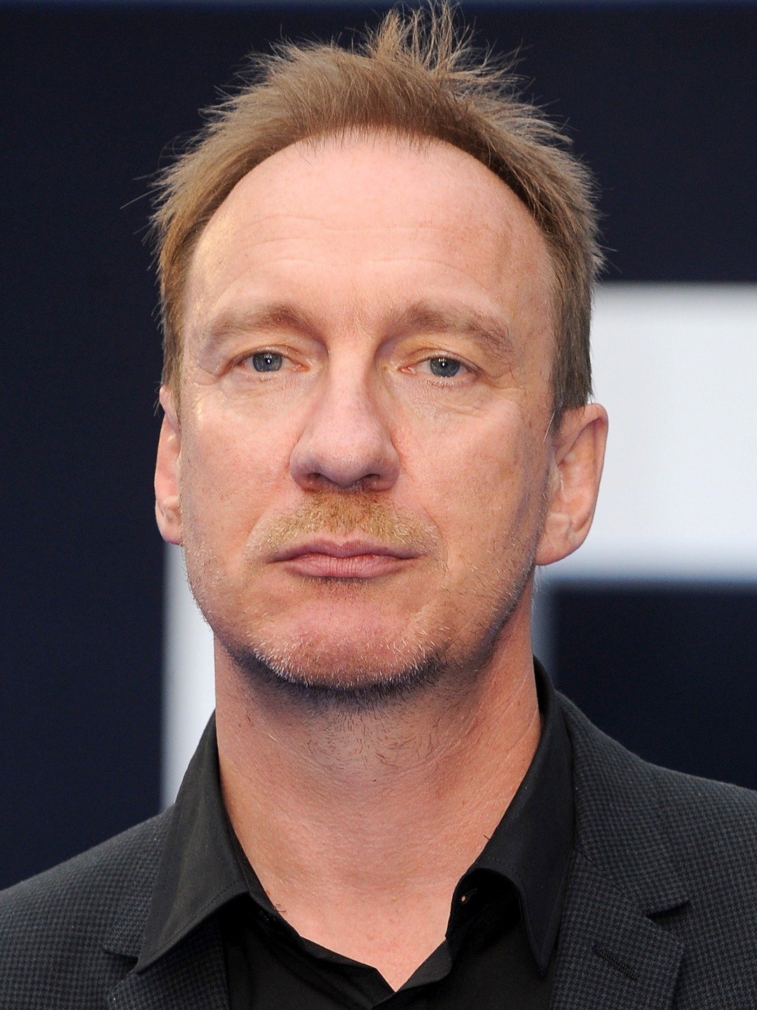 David Thewlis  DC Extended Universe Wiki  FANDOM powered 