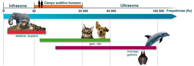 Frequencias-sonoras-ouvido-pelo-homem-e-alguns-animais