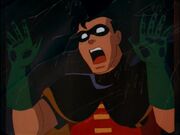 Robin BMFS