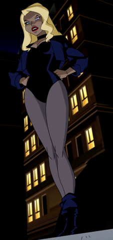 File:Black Canary JLU.png