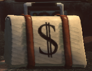 Cash bag