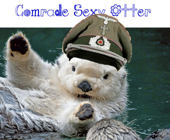 File:Sexy otter.jpg