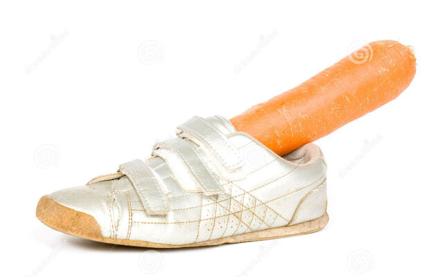 Bestand:Schoen.jpg