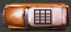 Safari1.jpg