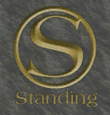 Standing-Vice-Point-Logo 2, VC.png