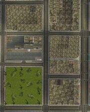 GTAJuniper Hill.jpg