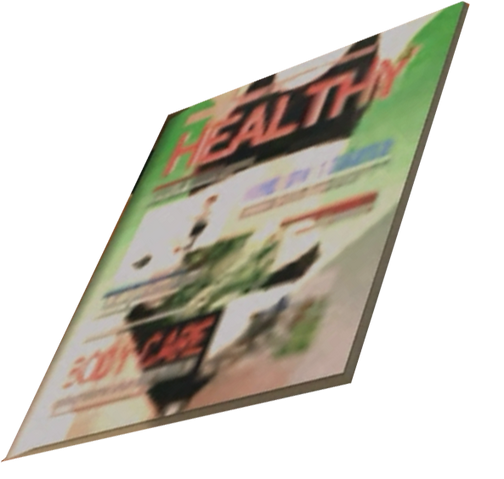File:Dead rising health magazine.png