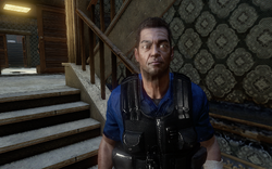 Policeman-entrance