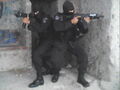 Thumbnail for version as of 03:27, August 2, 2012