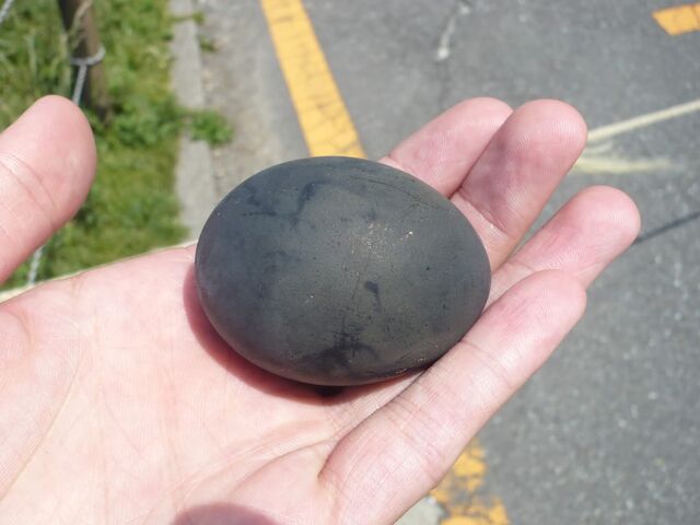File:Black egg.jpg