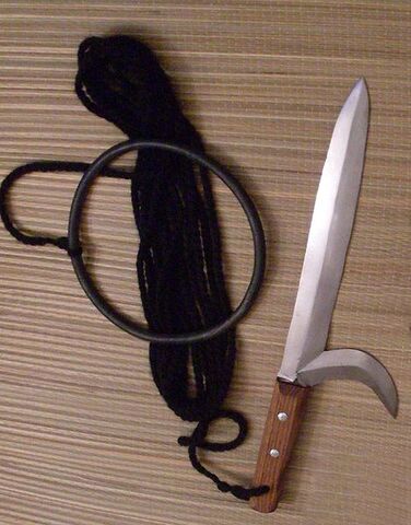 File:Kyoketsu Shoge.jpg