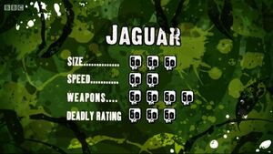 S3 DR jaguar