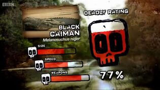 Ptp dr black caiman