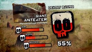 Ptp DR giant anteater