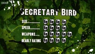 S3 DR secretary bird