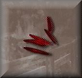 Thumbnail for version as of 22:13, April 5, 2011