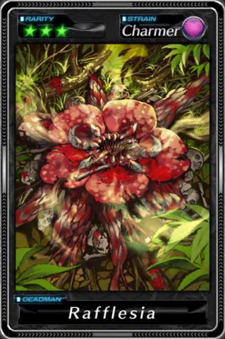 File:-000019--Rafflesia-.png