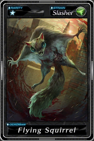 File:Flying Squirrel.png