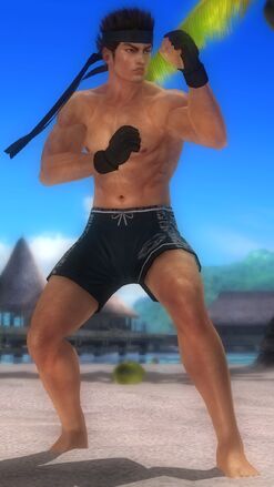 File:DOA5 Akira Fighter Screen.jpg