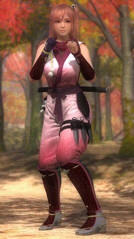 File:DOA5LR costume Ninja Clain VOL1 Honoka.jpg