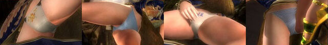 File:DOA5LeifangPantiesCos4.jpg