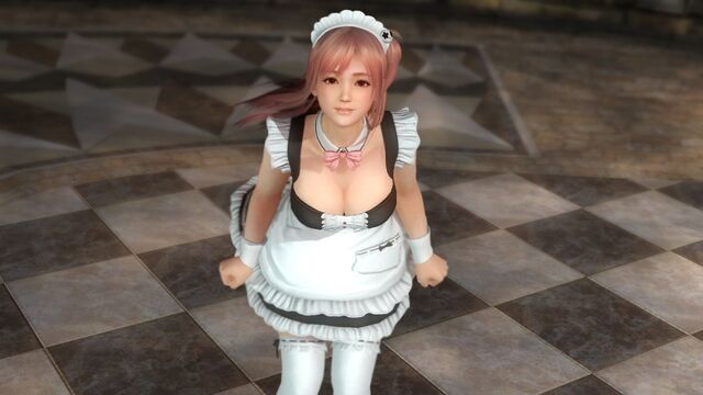 File:DOA5LR Honoka Maid.jpg