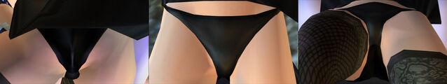 File:DOAULeiFangPantiesCos9.jpg