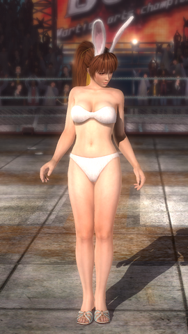 File:DOA5 Kasumi Rabbit.png
