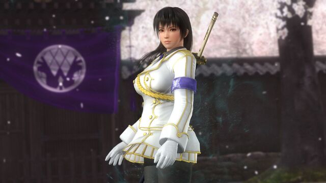 File:DOA5LR Phase 4 SK.jpg