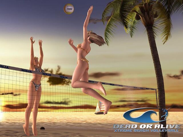 File:Xtreme-beach-volleyball-1.jpg