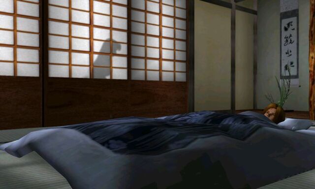File:DOAD Hayate Kasumi Night.jpg