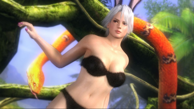 File:DOA5 Bunny Christie.png