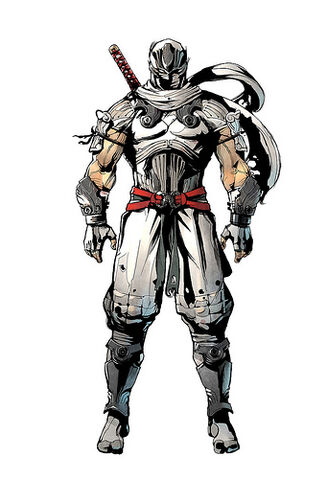 File:Ninjagaiden2dlc.jpg