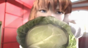 DOA4Cabbage