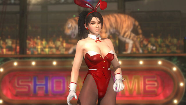 File:DOA5U Momiji USB.jpg