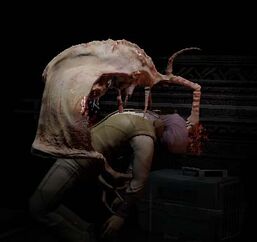 Infector22.jpg