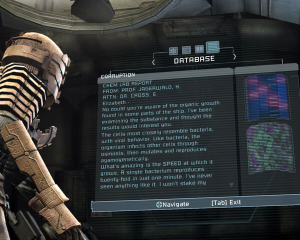 File:Holographic log.jpg