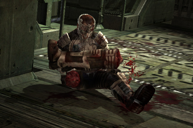 Файл:SurvivirValor3.png